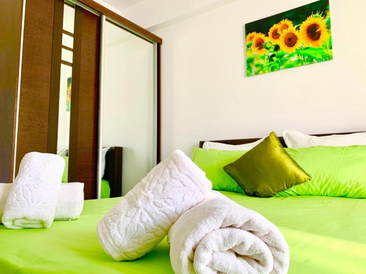 Elyse Comfortable Apartment Close To Palas Mall Jassy Zewnętrze zdjęcie