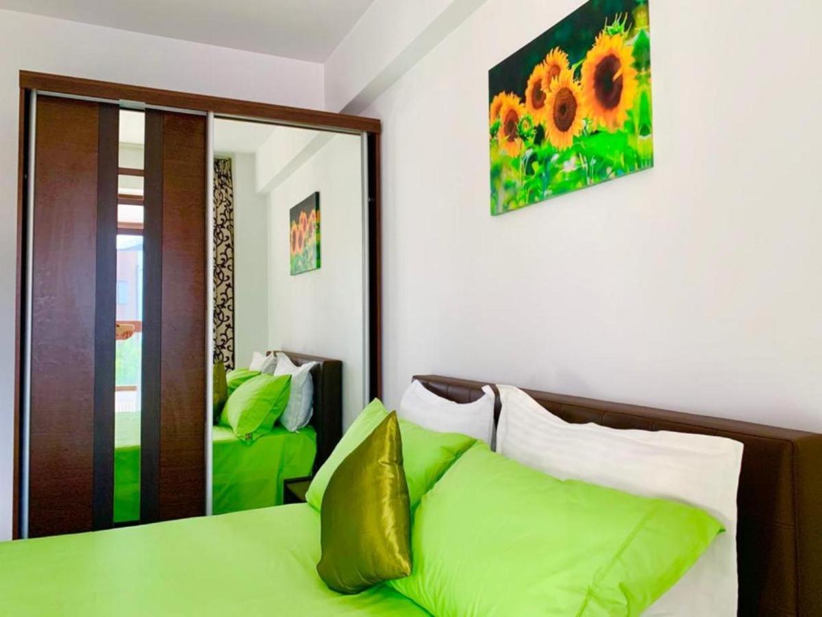 Elyse Comfortable Apartment Close To Palas Mall Jassy Zewnętrze zdjęcie